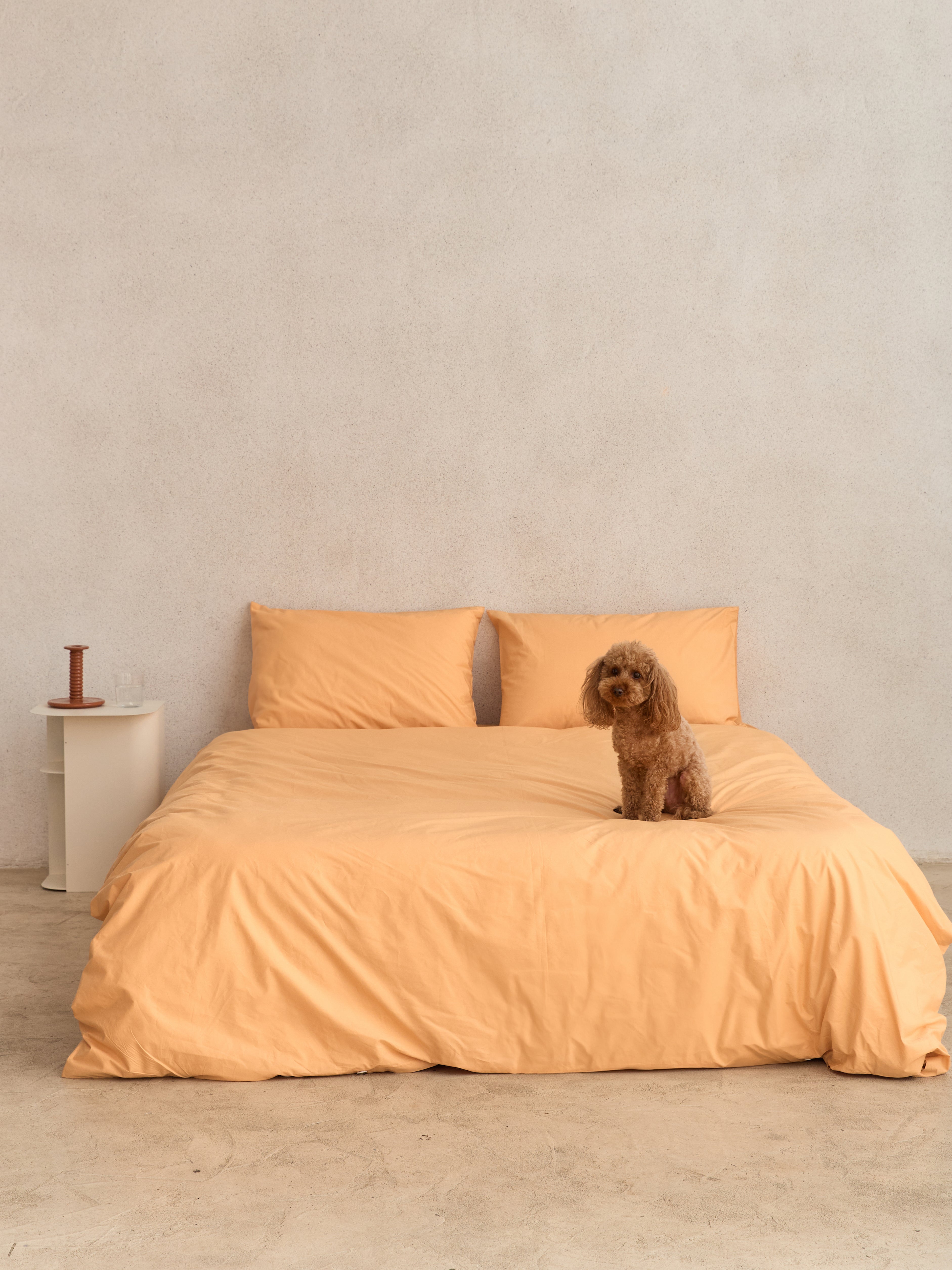 סט מצעי פרקל Melon Mist