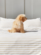 pj.stripes.toffee bedsheets with a dog