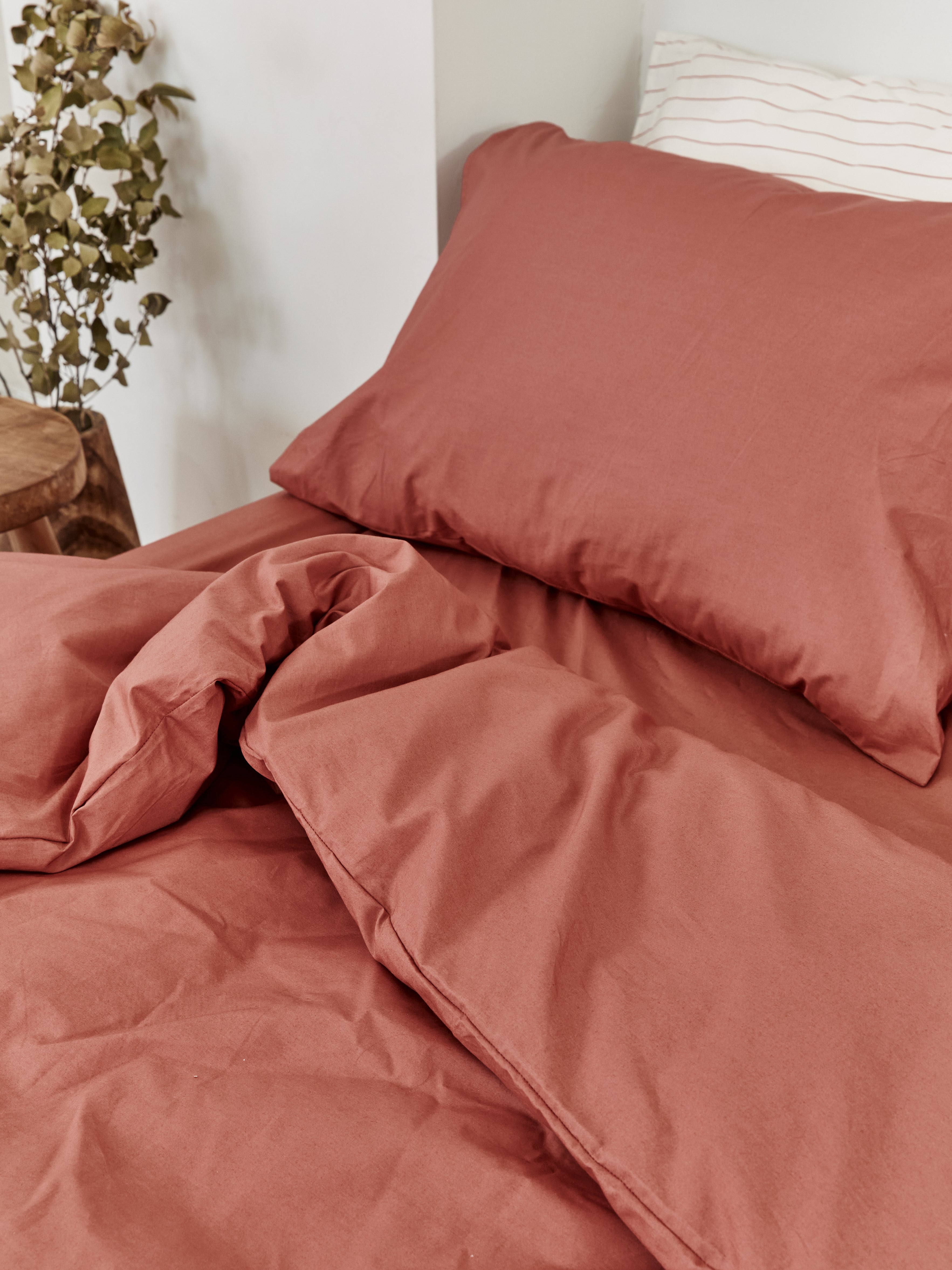 terracotta beddings